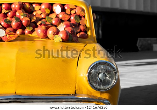 6 OCTOBER 2018 Almaty, Kazakhstan.\
Apple car installation.\
\
Old yellow retro car with artificial\
apples inside. Closeup of yellow classic vintage car.\

