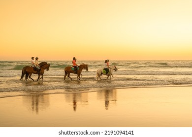 6 Riders Dressed In Equestrian Clothing Trot At Sunset In The Sea On Their Horses.