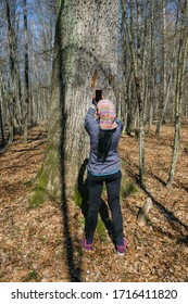  60 Year Old Sporty Woman Taking Pictures Of Old Mighty Tree In Forest In Ukraine On A Sunny Day. Back View.