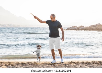 60-years old athletic man playing with small cute jumping dog jack russell terrier by the sea.