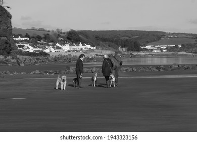 6th March 2021- Dog Walker's Chatting On The Sandy Beach At Amroth, Pembrokeshire, Wales, UK. 