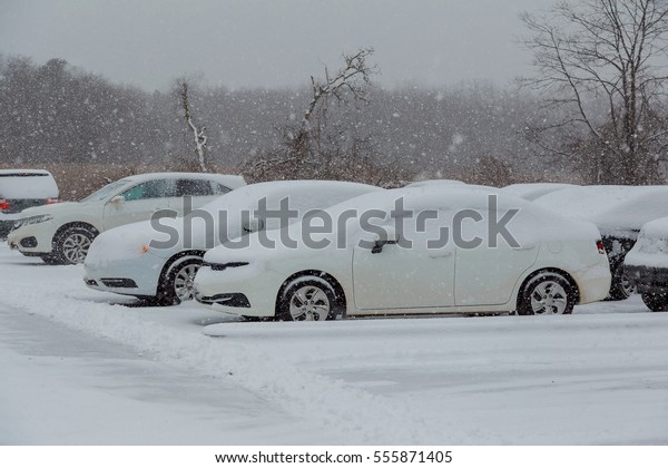 7 January 2017 Cars covered in snow during\
snowstorm car covered in snow\
storm