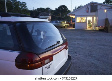 7-3-17 Oswego Ny: A Dog Waits In The Car While The Owner Gets Some Food At A Road Side Diner. 