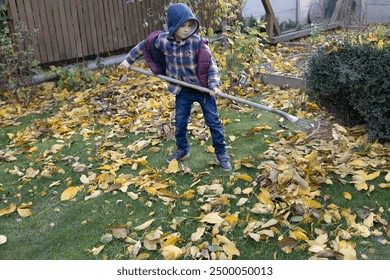 A 7-year-old boy rakes fallen autumn leaves in the garden. Seasonal cleaning. Autumn atmosphere. Little helper