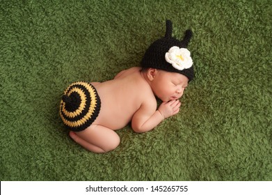 8 Day Old Newborn Girl Wearing A Black And Yellow Crocheted Bumblebee Costume Sleeping On A Green Plush Blanket.