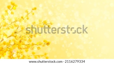 8 March or Easter greeting card with yellow mimosa branch on yellow backdrop with bokeh lights.