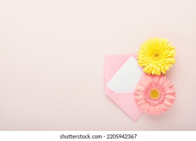 8 March. International Womens Day. Two gerberas pink and yellow, pink envelope on pink background. Copy space. Mock up. Flower concept. Design pattern. 8 march holiday.