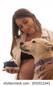 8 Month Pregnant Woman Wearing An Off White Shirt With Her Adopted Dog