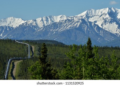 The 800-mile-long Trans Alaska Pipeline System Is One Of The World's Largest Pipeline Systems.