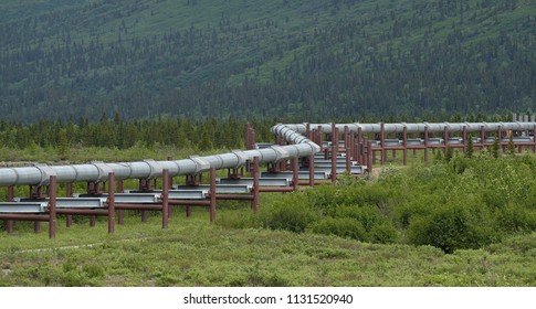 The 800-mile-long Trans Alaska Pipeline System Is One Of The World's Largest Pipeline Systems.