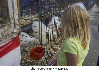 8-25-17 Syracuse, NY: Kids First Time At The New York State Fair.