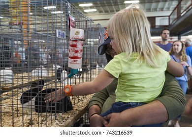 8-25-17 Syracuse, NY: Little Girl Looks At Bunnies At The Great New York State Fair.