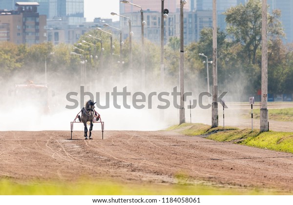 8.26.2018 Russia, Moscow, Central Moscow\
hippodrome. Tests of horses of trotters on the prize \