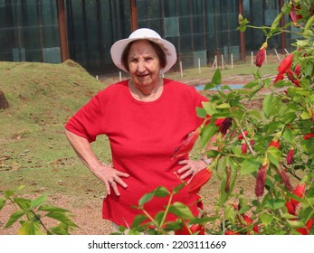 86 Year Old Lady Wearing White Stock Photo 2203111669 | Shutterstock