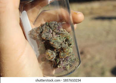 8th Jar Of Acai Gelato Hybrid Indica Sativa Cannabis Strain From Medical Marijuana Dispensary, White Male Holding Jar Of Nugs Outside On A Sunny Day. Cannon Rebel T6