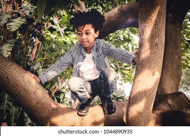 8-year-old Color Kid With Rasta Hair Plays Happy Climbing Up An Avocado Tree