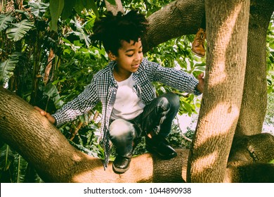 8-year-old Color Kid With Rasta Hair Plays Happy Climbing Up An Avocado Tree