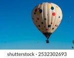 93rd Annual Albuquerque International Balloon Fiesta