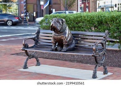 9.4..2022 New Haven, Connecticut. Yale University Handsome Dan Statue On A Park Bench In New Haven Connecticut, Bulldog 