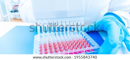 96 well plate for PCR processing, microbiological laboratory