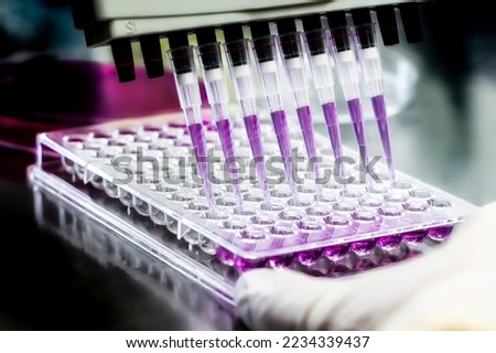 96 well plate for PCR processing, microbiological laboratory. Researcher pipetting samples of liquids in microplate for biomedical research. Scientist working at the biotecnology lab.