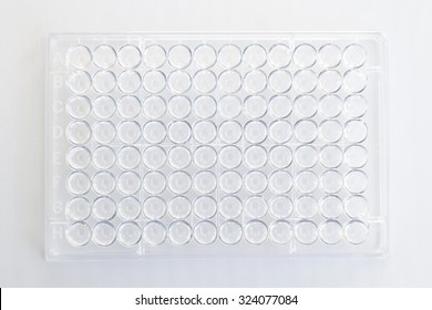 Elisa Plate の画像 写真素材 ベクター画像 Shutterstock