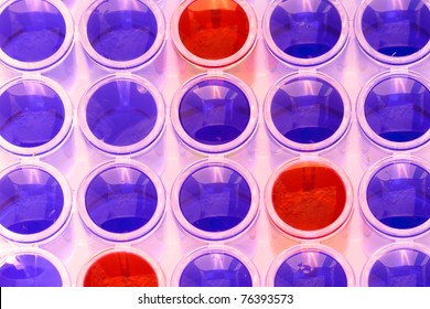 96-well microtiter plate for medical diagnostics and life science research filled with blue and read fluid