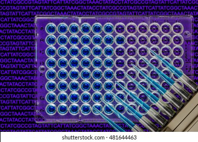 A 96-well Plate With Samples With A Nucleic Acid Sequence Background