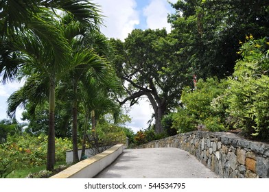 99 Steps In Charlotte Amalie, St. Thomas, US Virgin Islands