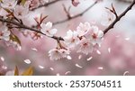 "A close-up of delicate cherry blossom branches, painted in soft pinks and whites, with petals gently falling. The scene captures the ethereal beauty of springtime, with muted green leaves and a soft 