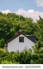 "A Hidden Gem: A White House with a Satellite Dish Nestled Amongst Trees"