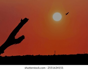 "A serene sunset scene with a vibrant orange sky, featuring the silhouette of a barren tree and a bird soaring gracefully near the sun. The distant skyline shows faint outlines of a mosque minaret,  - Powered by Shutterstock