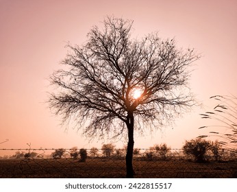 "A serene winter landscape featuring a tree against a vibrant sunset red sky. Capturing the picturesque beauty of nature during the cold winter months, this image evokes a tranquil and atmospheric sce