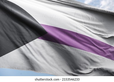 a, in which the black chevron represents asexuality, gray represents gray asexuality and demisexuality, white represents sexuality, and purple represents community