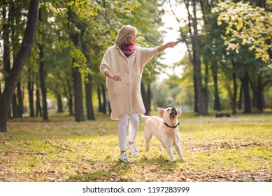 7,412 Throwing stick Images, Stock Photos & Vectors | Shutterstock