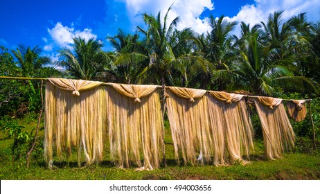 Abaca fiber, known as Manila Hemp, drying in an island village - Philippines