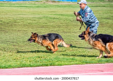 Abakan, Russia - August 21, 2018: A Police Officer Training A Sniff Dog For Finding Drugs, Weapons, Explosives.