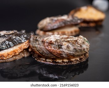 Abalone Food Marine Life Animal