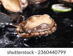 Abalone, ice cubes, fresh seafood food, black background, close-up