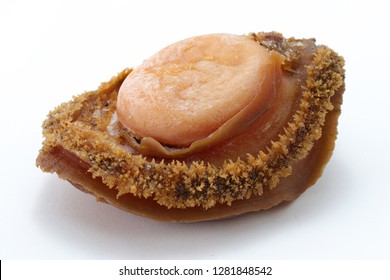 Abalone on the white background