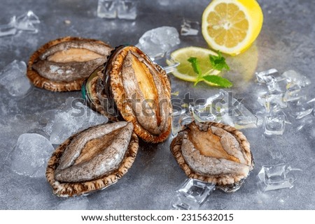 Abalone seafood(Haliotis) with ice cubes and lemon slices on tabletop, kitchen interior,close up