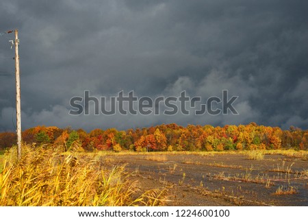 Abandonded parking lot under a dark sky with autumn colors