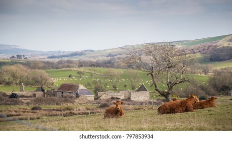 Abandonded Tyneham Village, Dorset, UK