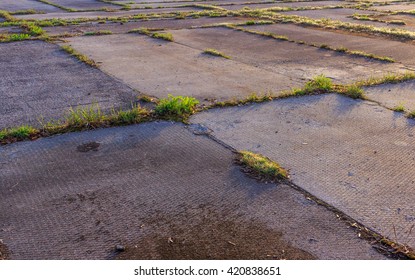 Abandoned Lot