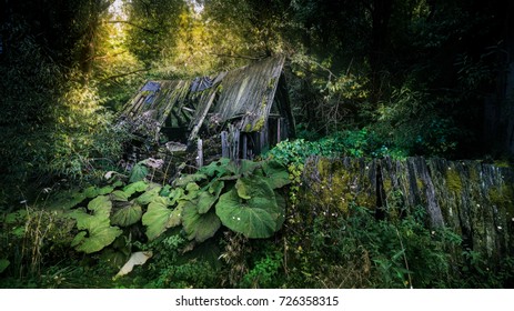abandoned 