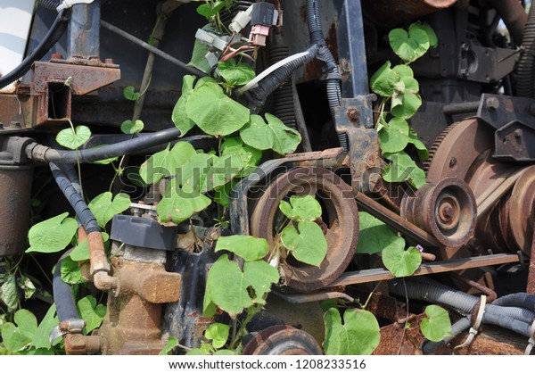 It\'s an abandoned agricultural machine and a green\
leaf growing in it.