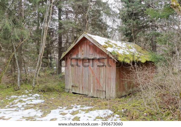 Abandoned Barn Hidden Woods Moss On Stock Photo Edit Now 390673060