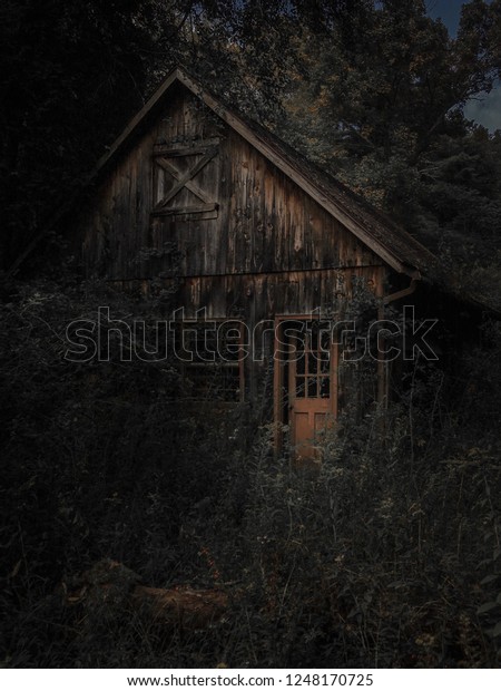 Abandoned Barn Woods Stock Photo Edit Now 1248170725