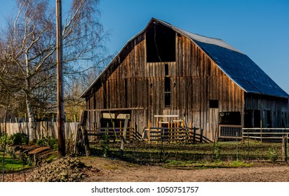 Barnyard Fun Stock Photos Images Photography Shutterstock