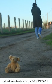 abandoned bear
